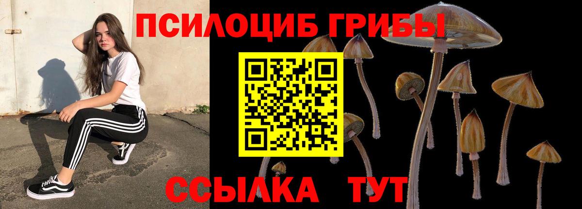 Псилоцибиновые грибы GOLDEN TEACHER  Вход с VPN  Чебаркуль  Галлюциногенные грибы ЛСД 
