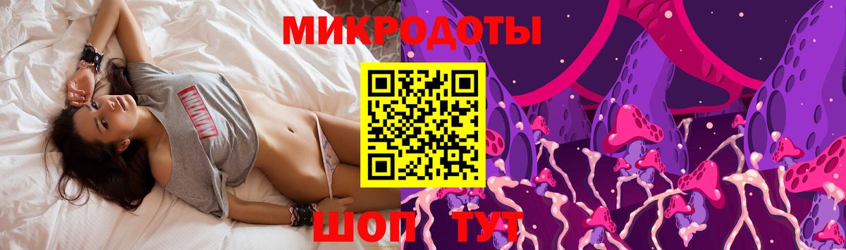 Галлюциногенные грибы Psilocybine cubensis Чебаркуль
